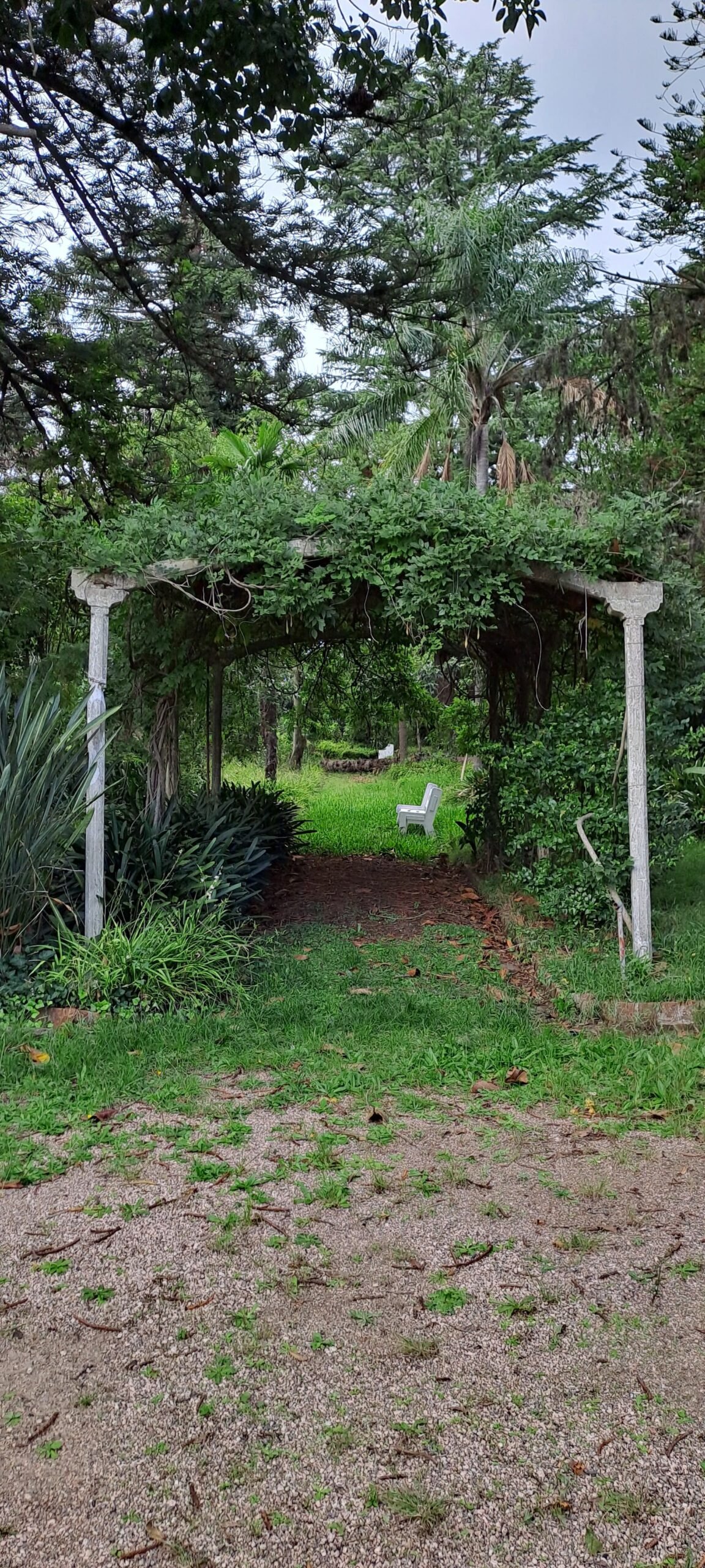 Jardín